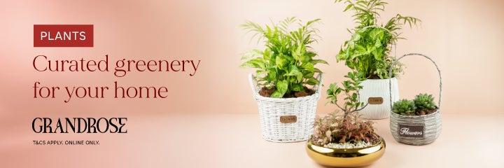 Plants